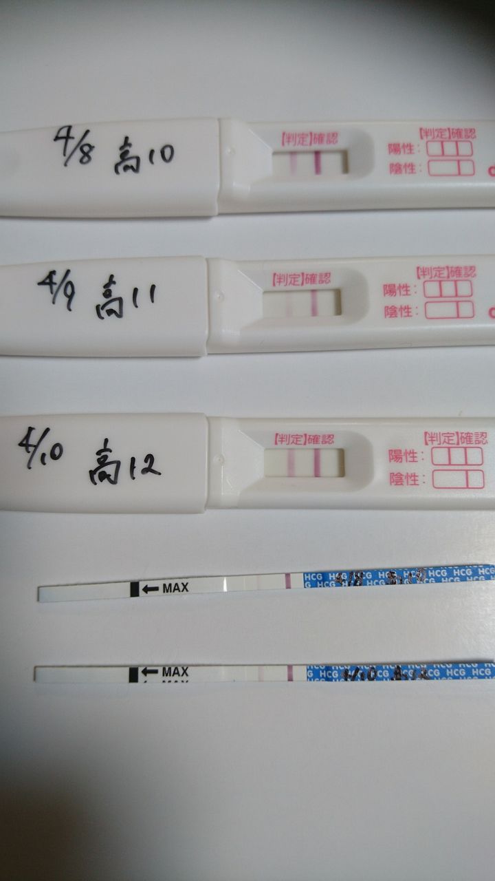 高温期12日目 フライング こつこつ二人目妊活