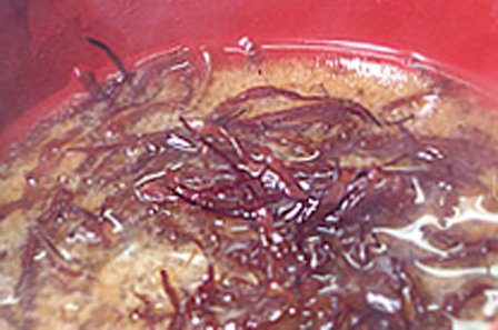 厳寒の海の恵み ふのり の味噌汁は最高です 耳ヲスマシテ 厳寒の海の恵み ふのり の味噌汁は最高です 耳ヲスマシテ