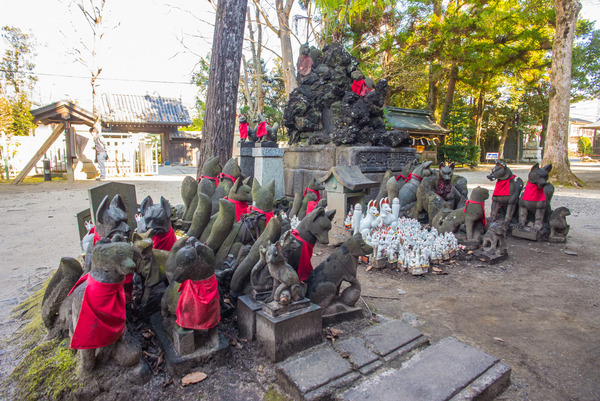 20161209_kasama-inari-50