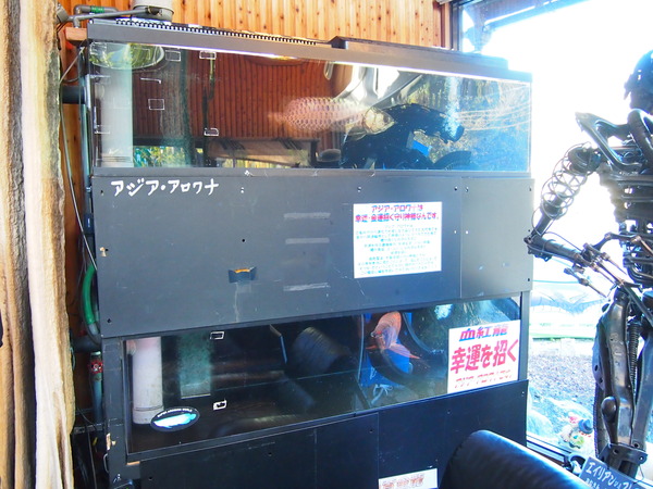 PB162348