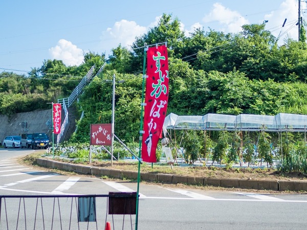 20180714_fujihei_yamanashi-346