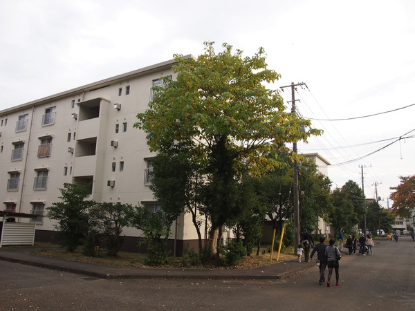 PB031900