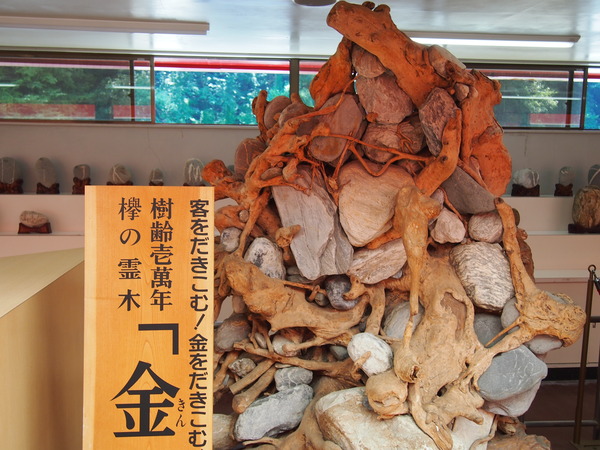 P8075078