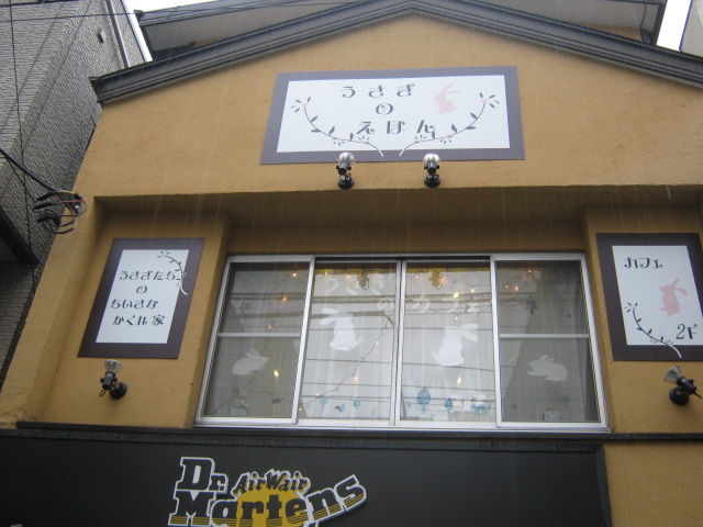 もふもふのウサギを撫でまわせるカフェ うさぎの絵本 下北沢 東京別視点ガイド