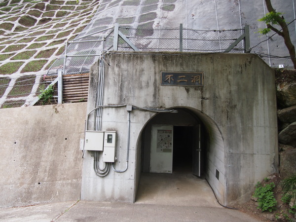 P5065366