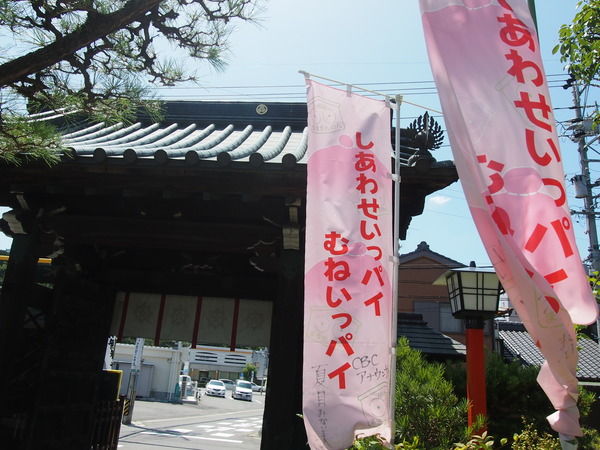 3e3129b4-s