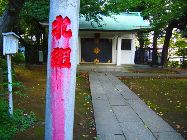 P8234476