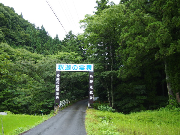 P8103446