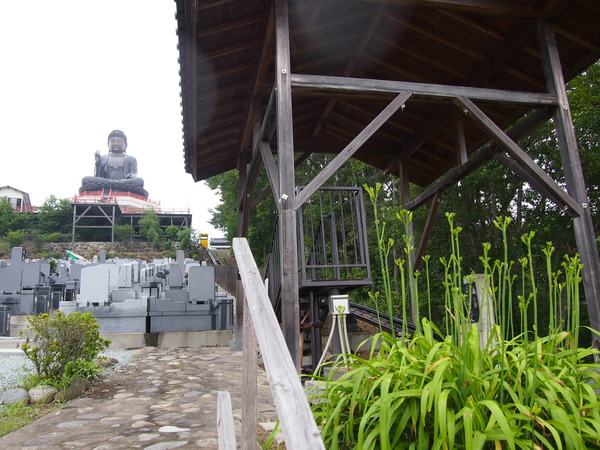 P7131262