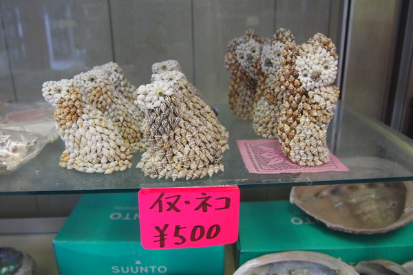 P1110557