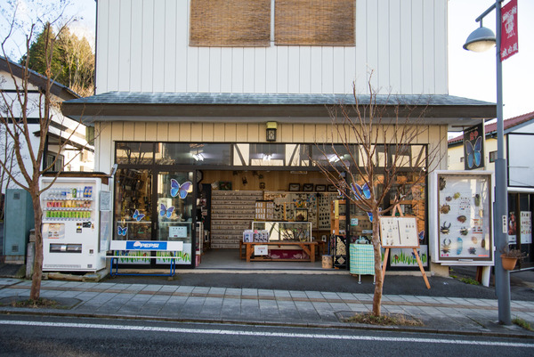 20161224_kasama-227