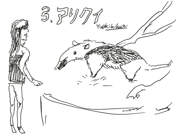 20_kikuchi
