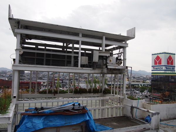 P8247702