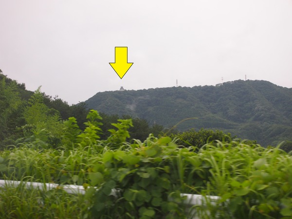 P8103576ーー