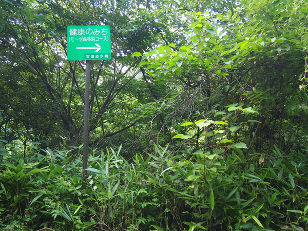 P7274055