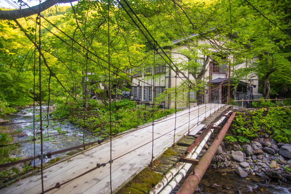 aonionsen-47