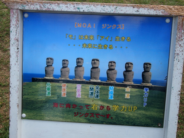 P8298226