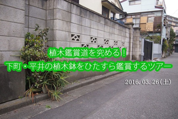 12654286_827627557347267_191349301434638961_n