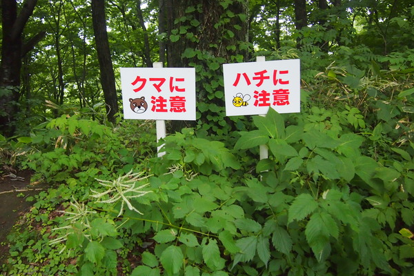 繝サP7160662