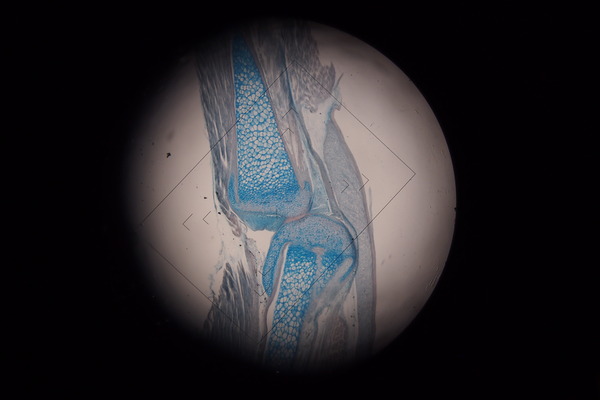 PA010827