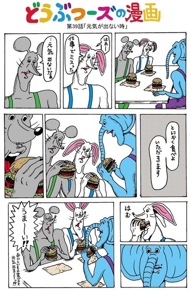 15_kikuchi