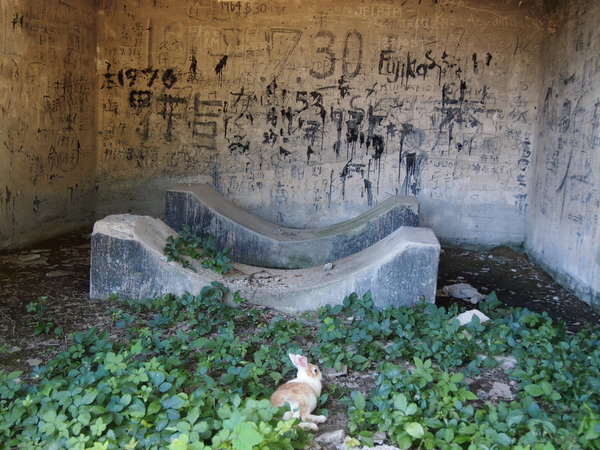 P9170183