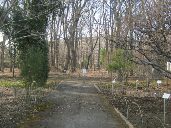 050