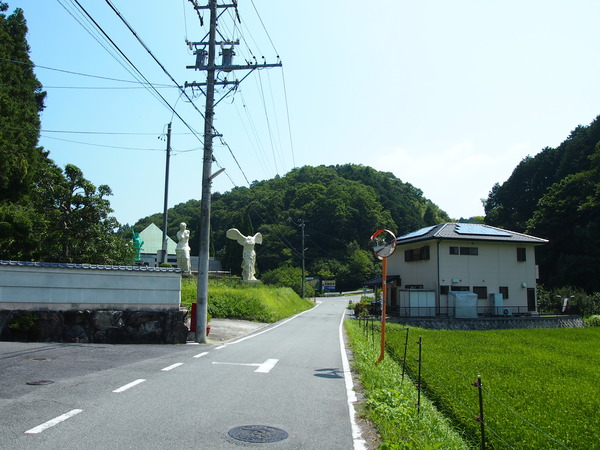 P8074984