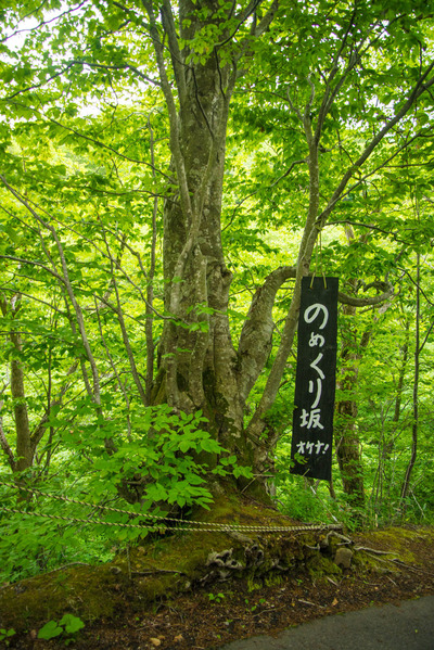 aonionsen-2