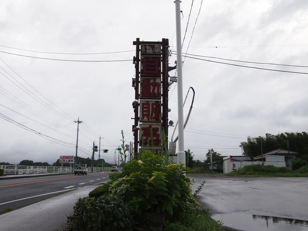 P8103742