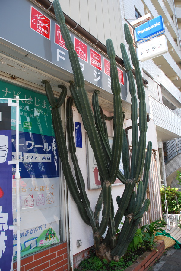 逕サ蜒十逕サ蜒9・