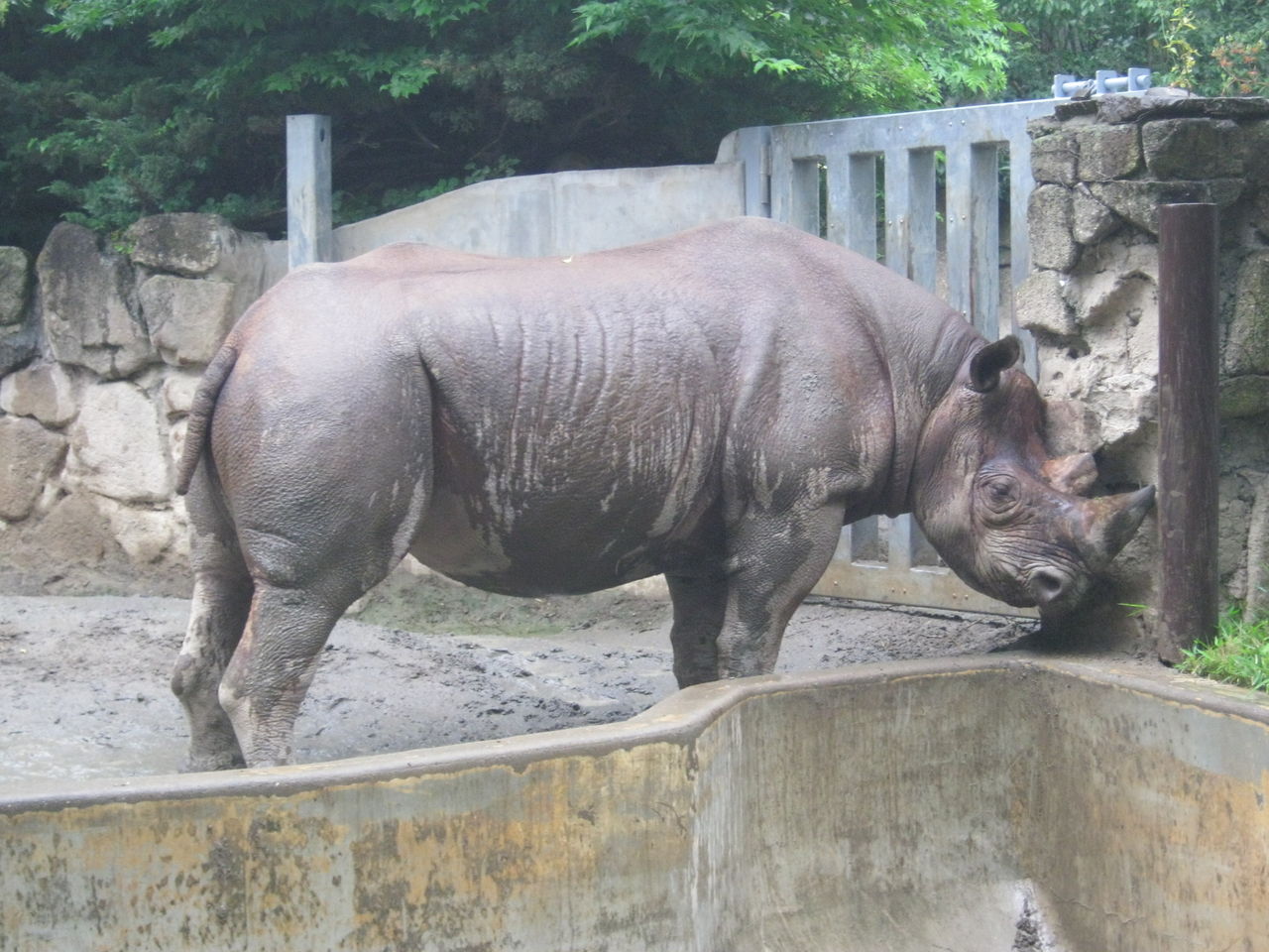 動物トリビアを13個覚えるだけ 女性が 付き合ってもいいかも と思ってしまう動物園デート必勝法 東京別視点ガイド 動物トリビアを13個覚えるだけ 女性が 付き合ってもいいかも と思ってしまう動物園デート必勝法 東京別視点ガイド