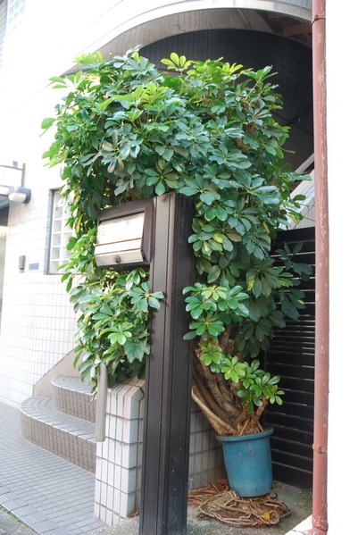 写真21