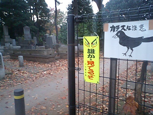 珍コネタ 誰か見てるぞ 東京別視点ガイド