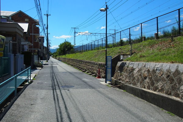 1f95a878-s