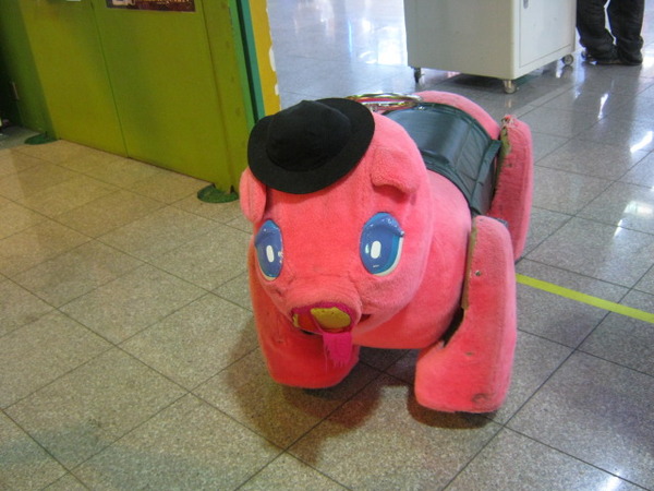 2446