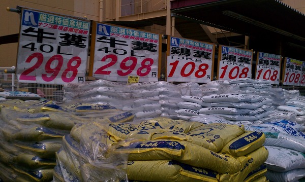 IMAG0053
