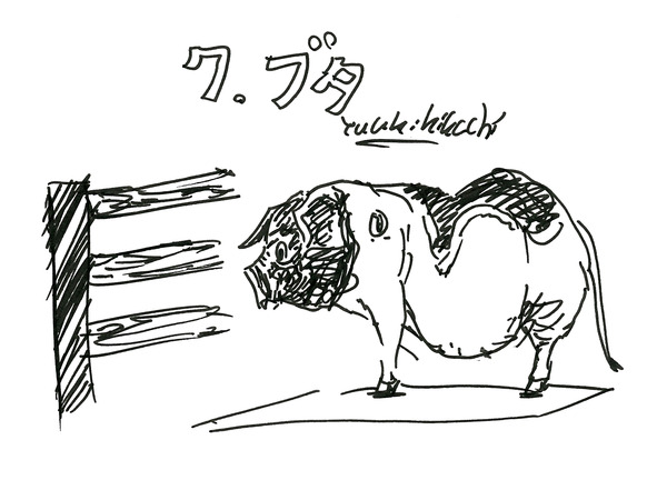 27_kikuchi