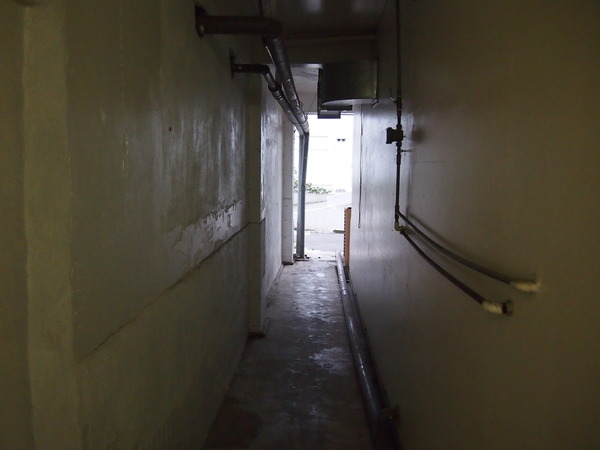 P8247625