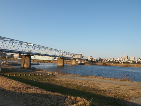 P1206394