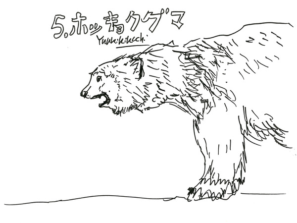 23_kikuchi