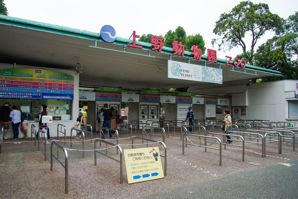 05_kikuchi