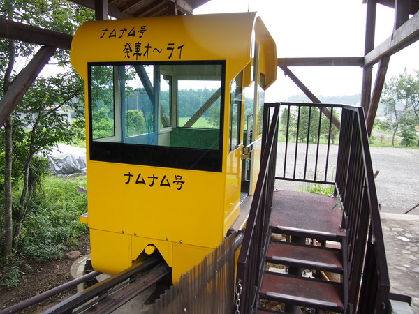 P7131274