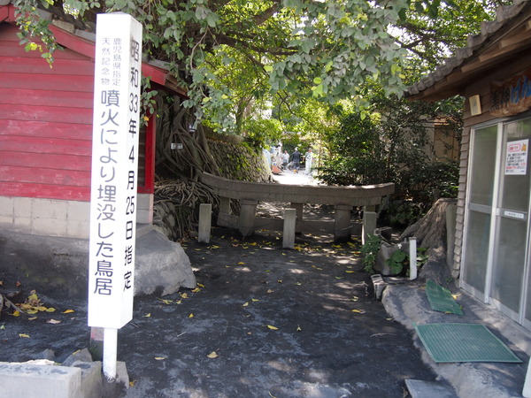 P8308359