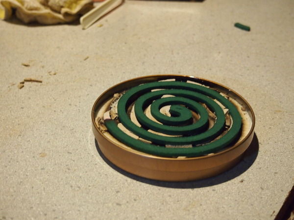 42005080-s