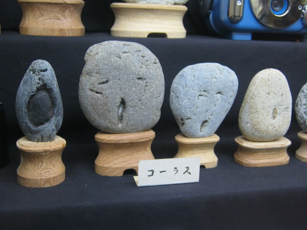 291