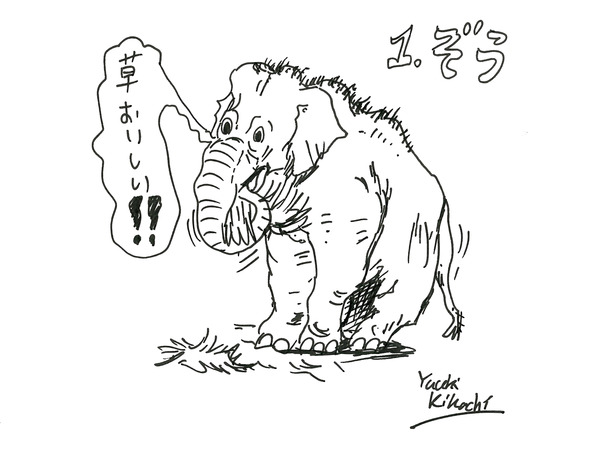 17_kikuchi