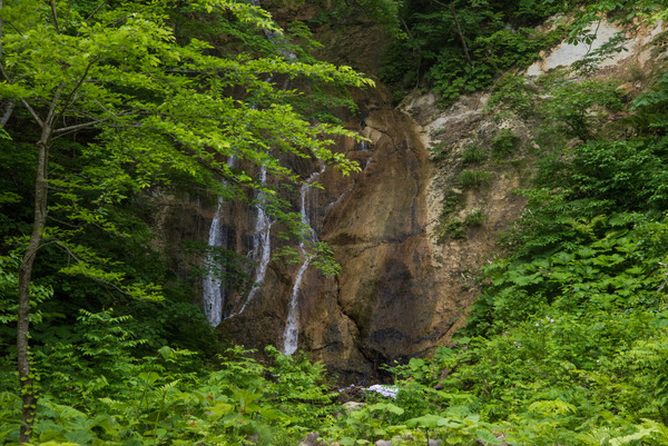 aonionsen-44