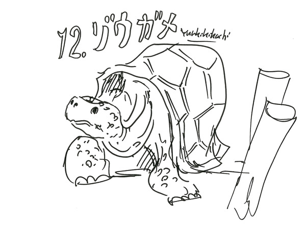 37_kikuchi