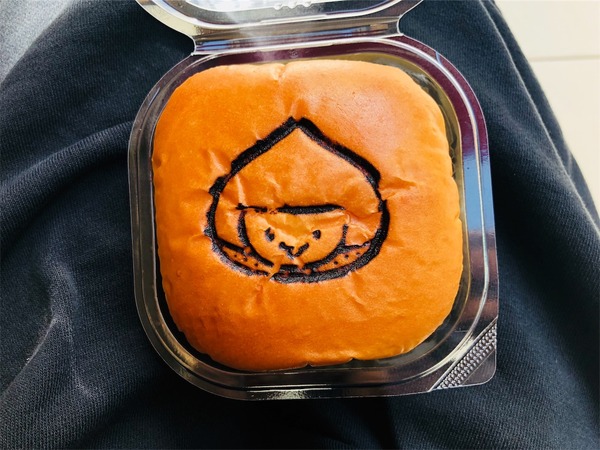 sinmikawasima18